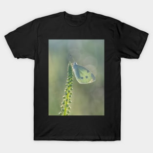 Small White Butterfly backlit T-Shirt